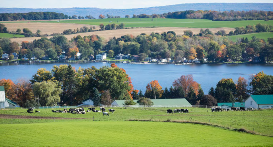 landscape view of farmland with trees and water in background