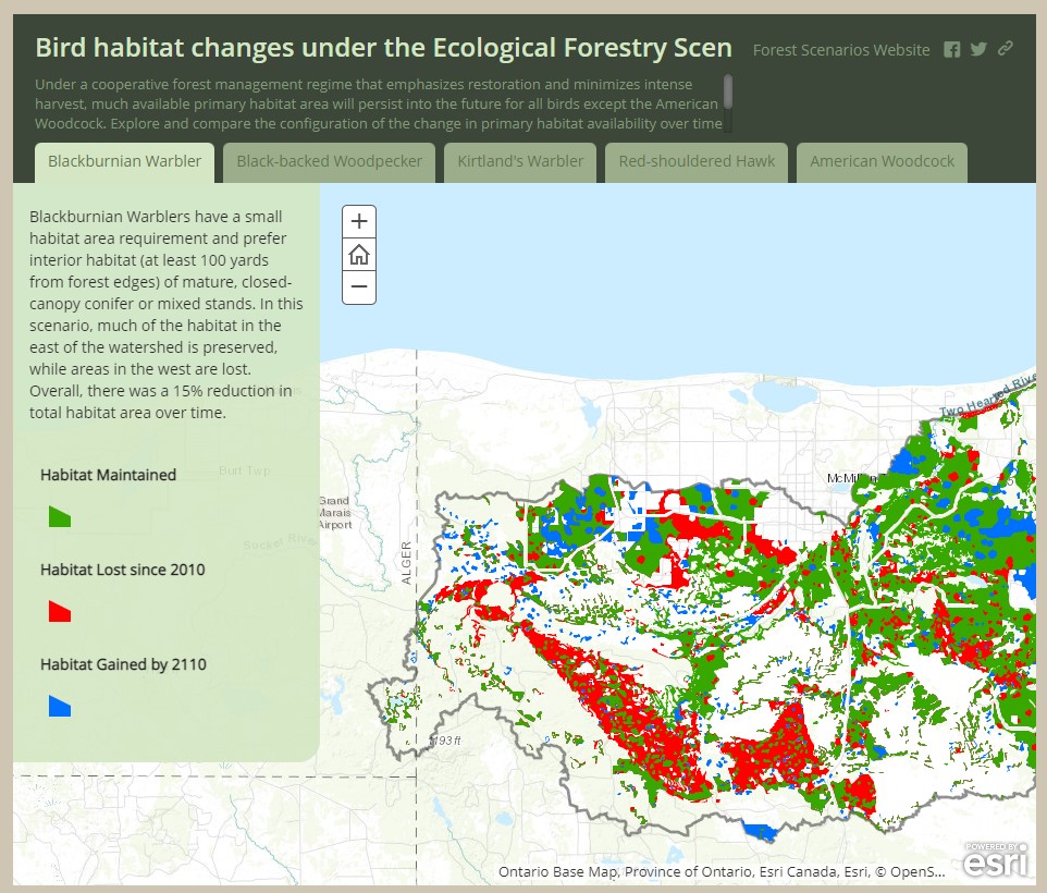 screenshot of bird habitat