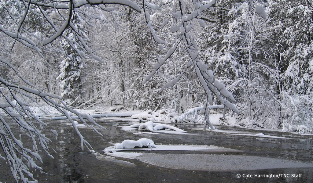 forest river in winter