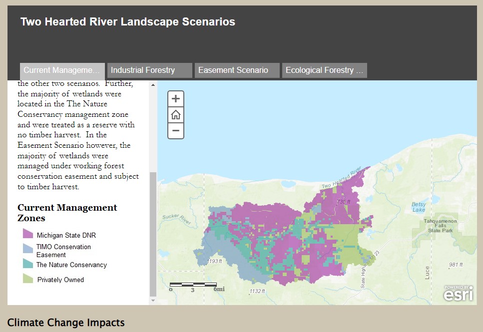 screenshot showing current mgmt scenario